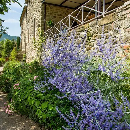 Sleeps 17 Pool Wifi * Galera